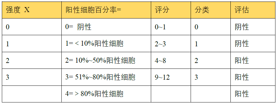 生長(cháng)抑素3.png